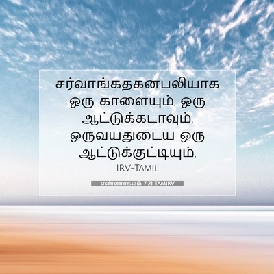 Picture 07 - எண்ணாகமம் 7:21 TAMIRV -  - Bible Verse Picture