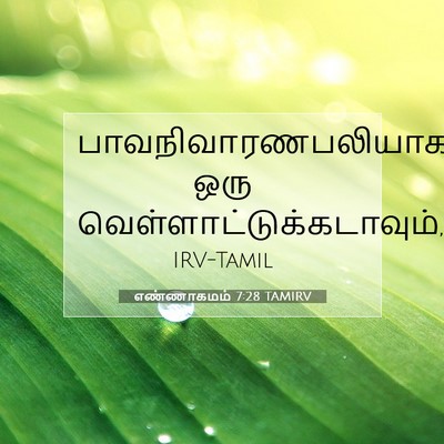 Picture 07 - எண்ணாகமம் 7:28 TAMIRV - பாவநிவாரணபலியாக - Bible Verse Picture