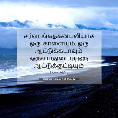 Picture 07 - எண்ணாகமம் 7:33 TAMIRV -  - Bible Verse Picture