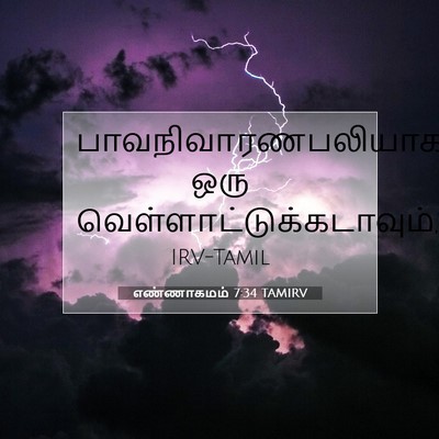 Picture 07 - எண்ணாகமம் 7:34 TAMIRV - பாவநிவாரணபலியாக - Bible Verse Picture