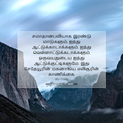 Picture 07 - எண்ணாகமம் 7:35 TAMIRV - சமாதானபலியாக - Bible Verse Picture