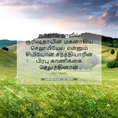 Picture 07 - எண்ணாகமம் 7:36 TAMIRV - ஐந்தாம் நாளில் - Bible Verse Picture