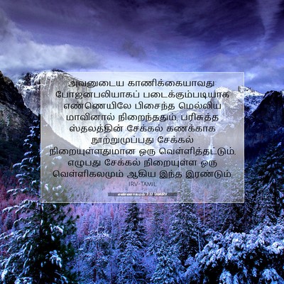 Picture 07 - எண்ணாகமம் 7:37 TAMIRV - அவனுடைய - Bible Verse Picture