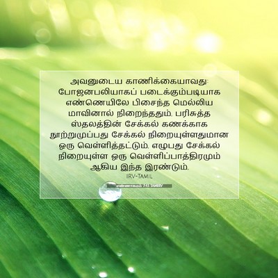 Picture 07 - எண்ணாகமம் 7:43 TAMIRV - அவனுடைய - Bible Verse Picture