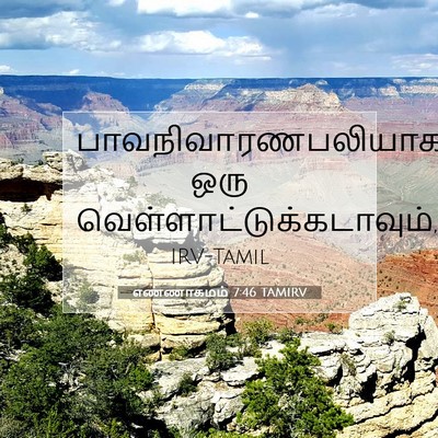Picture 07 - எண்ணாகமம் 7:46 TAMIRV - பாவநிவாரணபலியாக - Bible Verse Picture
