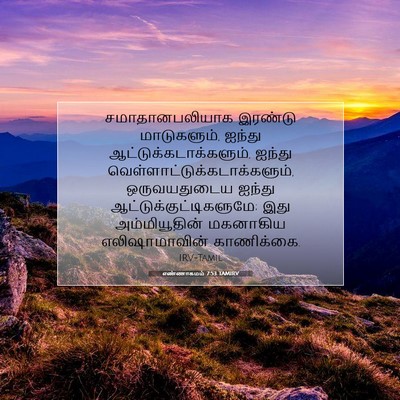 Picture 07 - எண்ணாகமம் 7:53 TAMIRV - சமாதானபலியாக - Bible Verse Picture