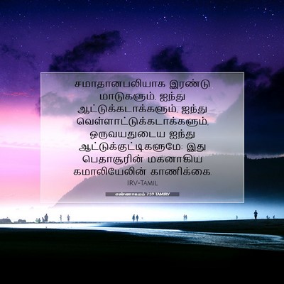 Picture 07 - எண்ணாகமம் 7:59 TAMIRV - சமாதானபலியாக - Bible Verse Picture