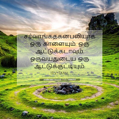 Picture 07 - எண்ணாகமம் 7:75 TAMIRV -  - Bible Verse Picture