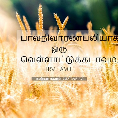 Picture 07 - எண்ணாகமம் 7:82 TAMIRV - பாவநிவாரணபலியாக - Bible Verse Picture