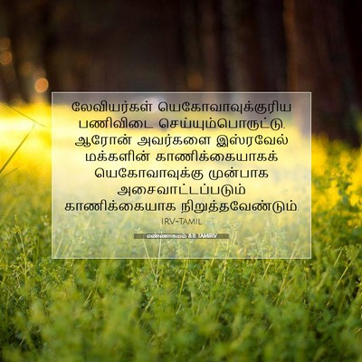 Picture 07 - எண்ணாகமம் 8:11 TAMIRV - லேவியர்கள் - Bible Verse Picture