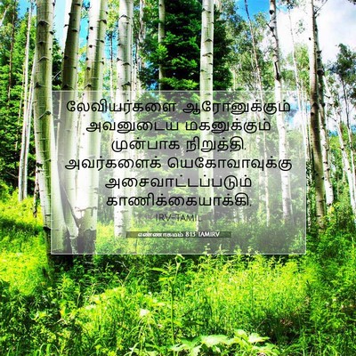 Picture 07 - எண்ணாகமம் 8:13 TAMIRV - லேவியர்களை - Bible Verse Picture