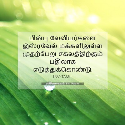 Picture 07 - எண்ணாகமம் 8:18 TAMIRV - பின்பு லேவியர்களை - Bible Verse Picture