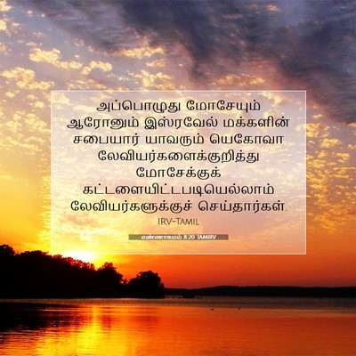 Picture 07 - எண்ணாகமம் 8:20 TAMIRV - அப்பொழுது - Bible Verse Picture