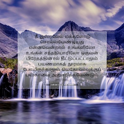 Picture 07 - எண்ணாகமம் 9:10 TAMIRV - “நீ இஸ்ரவேல் - Bible Verse Picture