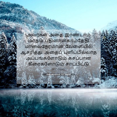 Picture 07 - எண்ணாகமம் 9:11 TAMIRV - அவர்கள் அதை - Bible Verse Picture
