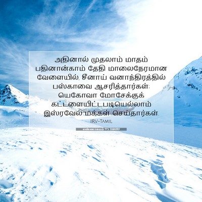 Picture 07 - எண்ணாகமம் 9:5 TAMIRV - அதினால் முதலாம் - Bible Verse Picture
