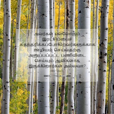 Picture 07 - எபிரெயர் 1:14 TAMIRV - அவர்கள் - Bible Verse Picture