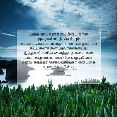 Picture 07 - எபிரெயர் 10:16 TAMIRV - அந்த - Bible Verse Picture