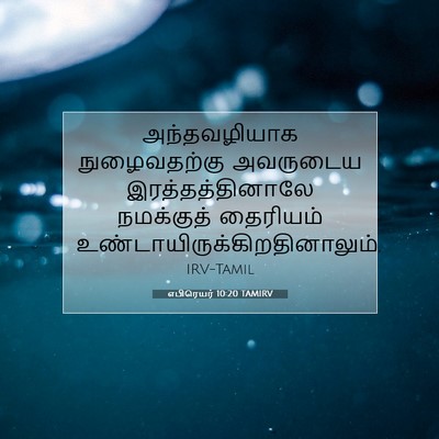 Picture 07 - எபிரெயர் 10:20 TAMIRV - அந்தவழியாக - Bible Verse Picture