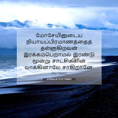 Picture 07 - எபிரெயர் 10:28 TAMIRV - மோசேயினுடைய - Bible Verse Picture
