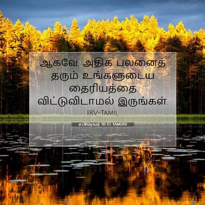 Picture 07 - எபிரெயர் 10:35 TAMIRV - ஆகவே, அதிக பலனைத் - Bible Verse Picture
