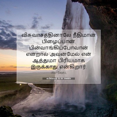 Picture 07 - எபிரெயர் 10:38 TAMIRV - விசுவாசத்தினாலே - Bible Verse Picture