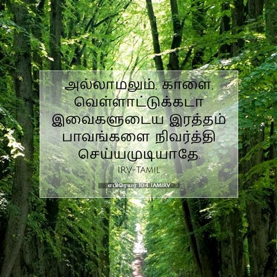 Picture 07 - எபிரெயர் 10:4 TAMIRV - அல்லாமலும், காளை, - Bible Verse Picture