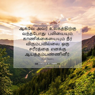 Picture 07 - எபிரெயர் 10:5 TAMIRV - ஆகவே, அவர் - Bible Verse Picture