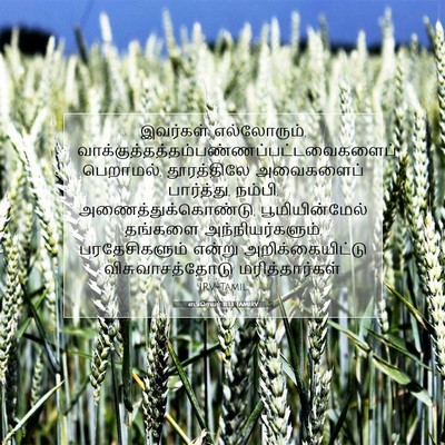 Picture 07 - எபிரெயர் 11:13 TAMIRV - இவர்கள் - Bible Verse Picture