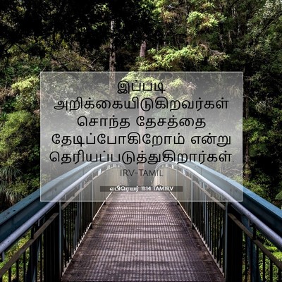 Picture 07 - எபிரெயர் 11:14 TAMIRV - இப்படி - Bible Verse Picture