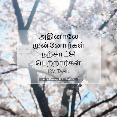 Picture 07 - எபிரெயர் 11:2 TAMIRV - அதினாலே - Bible Verse Picture