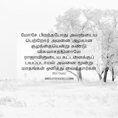 Picture 07 - எபிரெயர் 11:23 TAMIRV - மோசே பிறந்தபோது - Bible Verse Picture