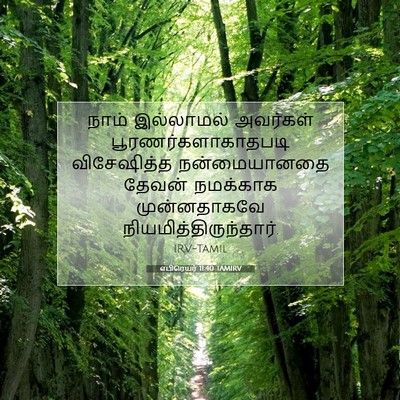 Picture 07 - எபிரெயர் 11:40 TAMIRV - நாம் இல்லாமல் - Bible Verse Picture