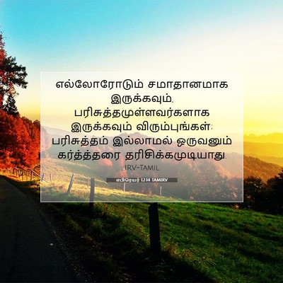 Picture 07 - எபிரெயர் 12:14 TAMIRV - எல்லோரோடும் - Bible Verse Picture