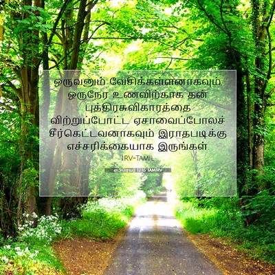 Picture 07 - எபிரெயர் 12:16 TAMIRV - ஒருவனும் - Bible Verse Picture