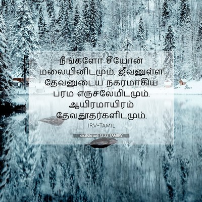 Picture 07 - எபிரெயர் 12:22 TAMIRV - நீங்களோ சீயோன் - Bible Verse Picture