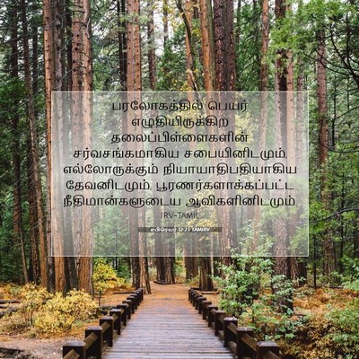 Picture 07 - எபிரெயர் 12:23 TAMIRV - பரலோகத்தில் பெயர் - Bible Verse Picture