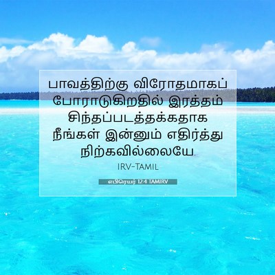 Picture 07 - எபிரெயர் 12:4 TAMIRV - பாவத்திற்கு - Bible Verse Picture