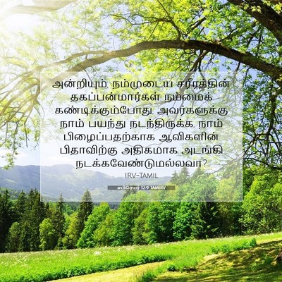 Picture 07 - எபிரெயர் 12:9 TAMIRV - அன்றியும், - Bible Verse Picture
