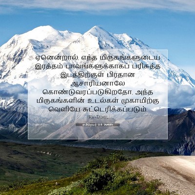 Picture 07 - எபிரெயர் 13:11 TAMIRV - ஏனென்றால், எந்த - Bible Verse Picture