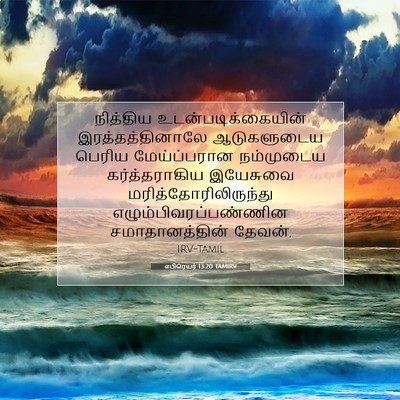 Picture 07 - எபிரெயர் 13:20 TAMIRV - நித்திய - Bible Verse Picture