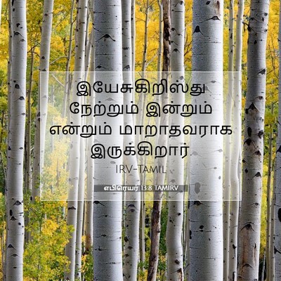 Picture 07 - எபிரெயர் 13:8 TAMIRV - இயேசுகிறிஸ்து - Bible Verse Picture