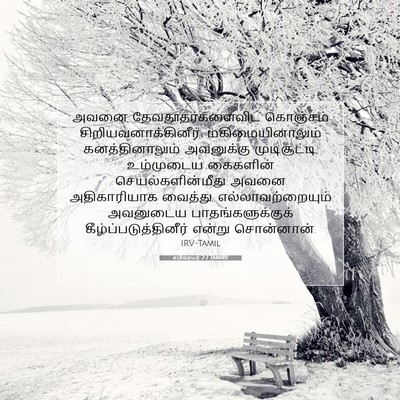 Picture 07 - எபிரெயர் 2:7 TAMIRV - அவனை - Bible Verse Picture