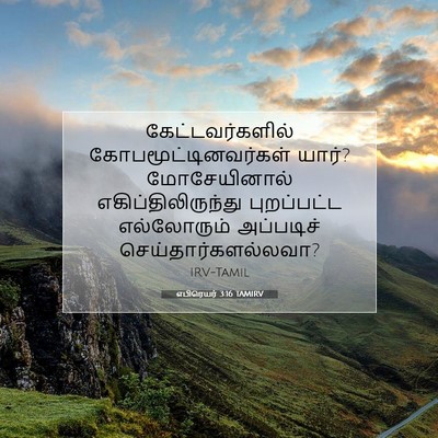 Picture 07 - எபிரெயர் 3:16 TAMIRV - கேட்டவர்களில் - Bible Verse Picture