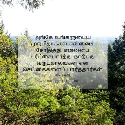 Picture 07 - எபிரெயர் 3:9 TAMIRV - அங்கே உங்களுடைய - Bible Verse Picture