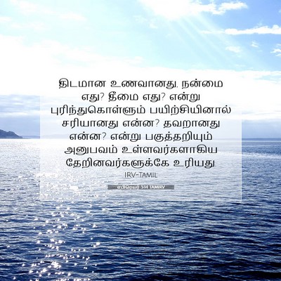 Picture 07 - எபிரெயர் 5:14 TAMIRV - திடமான உணவானது, - Bible Verse Picture