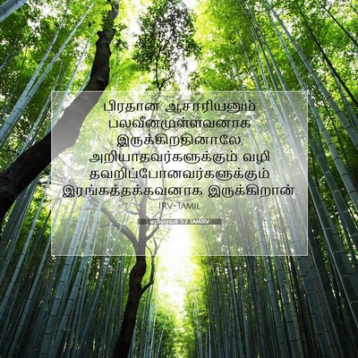 Picture 07 - எபிரெயர் 5:2 TAMIRV - பிரதான ஆசாரியனும் - Bible Verse Picture