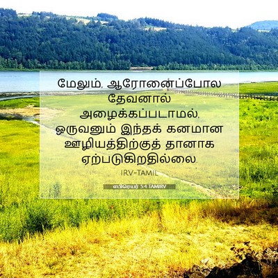 Picture 07 - எபிரெயர் 5:4 TAMIRV - மேலும், - Bible Verse Picture