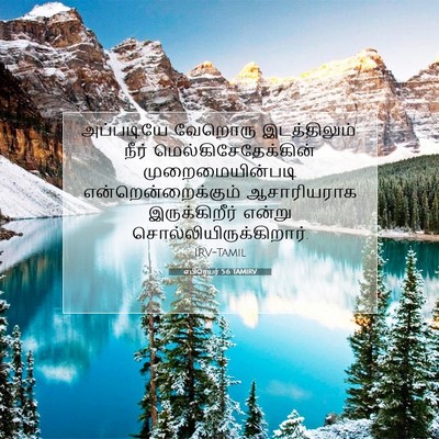 Picture 07 - எபிரெயர் 5:6 TAMIRV - அப்படியே வேறொரு - Bible Verse Picture