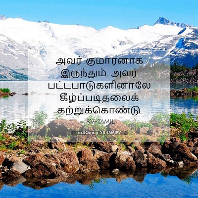 Picture 07 - எபிரெயர் 5:8 TAMIRV - அவர் குமாரனாக - Bible Verse Picture